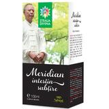 Meridian Intestin Subtire Tinctura Santo Raphael, 100 ml