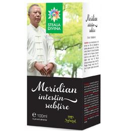 Meridian intestin subtire tinctura santo raphael, 100 ml