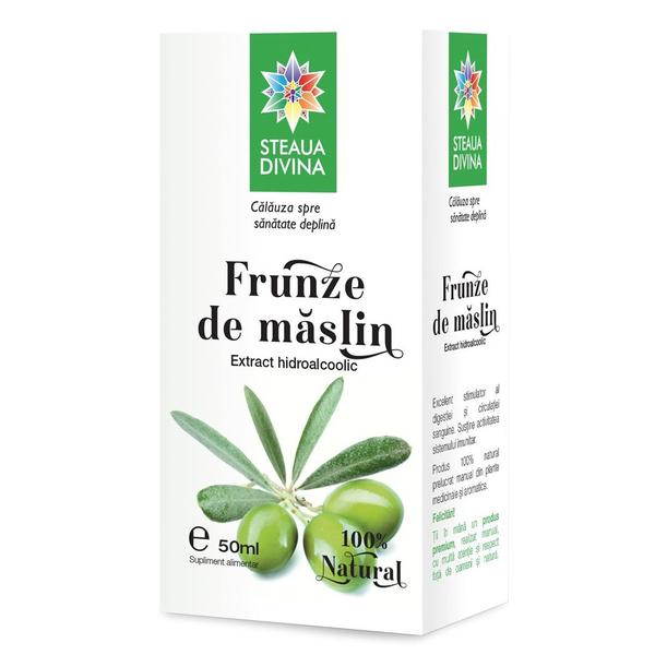 Tinctura Frunze de Maslin Santo Raphael, 50 ml