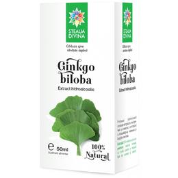Tinctura ginkgo biloba santo raphael, 50 ml