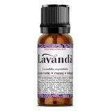 Ulei Esential de Lavanda Santo Raphael, 10 ml