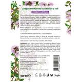 sampon-antimatreata-cu-cimbrisor-si-sulf-cosmetic-plant-400-ml-1743601774343-2.jpg