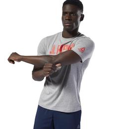 Tricou barbati Reebok Fitness Fight Like Hell Tee DU4701, XL, Gri