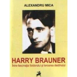 Harry Brauner, Intre Fascinatia Folclorului Si Teroarea Destinului - Alexandru Mica, editura Tracus Arte