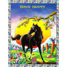 Black beauty, editura astro