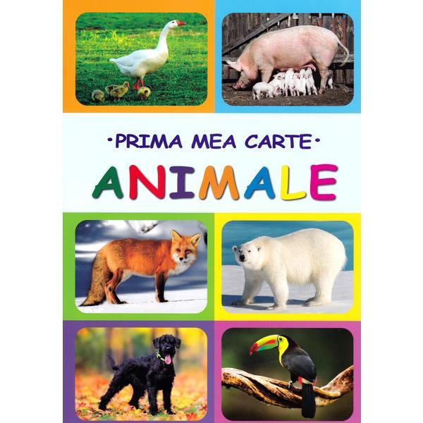 Prima mea carte: animale, editura biblion