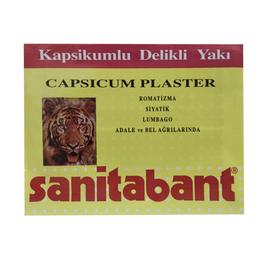 Plasture antireumatic sanitabant stager med