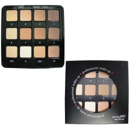 Paleta profesionala 12 culori fond de ten pudra 2 in 1 - cinecitta phitomake-up professional tavolozza professionale 12 colori color cake wet   dry 2 in 1