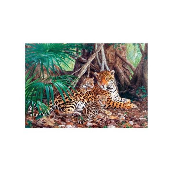 Puzzle castorland - 3000 de piese - jaguars in the jungle