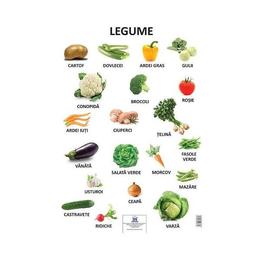 Plansa- legume, editura didactica publishing house