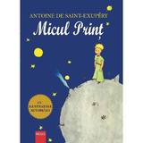 Micul print - Antoine de Saint-Exupery, editura Regis