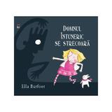 Domnul Intuneric se strecoara - Ella Burfoot, editura Rao