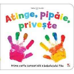 Bebe invata. Atinge, pipaie, priveste, editura Litera