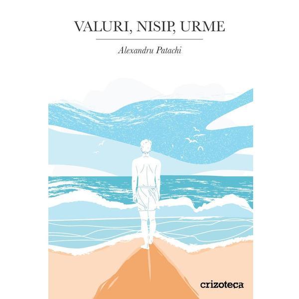 Valuri, nisip, urme - Alexandru Patachi, editura Crizoteca