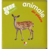 Bebe invata - Animale din padure, editura Litera