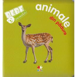 Bebe invata - Animale din padure, editura Litera