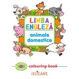Limba engleza: Animale domestice (Colouring Book), editura Elicart