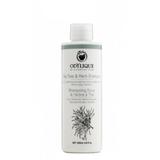 Sampon cu Tea Tree si Plante Anti Matreata, Odylique by Essential Care, 200 ml