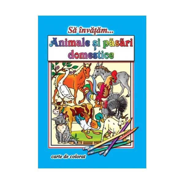 Sa invatam... animale domestice - carte de colorat, editura roxel cart