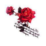Tatuaj Temporar Mini - trandafir - Lucy Style 2000