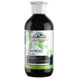 Sampon cu Henna pentru Par Brunet Corpore Sano, 300ml