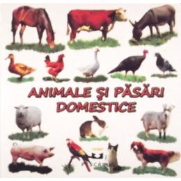 Animale si pasari domestice - Pliant, editura Petrescu And Cioponea