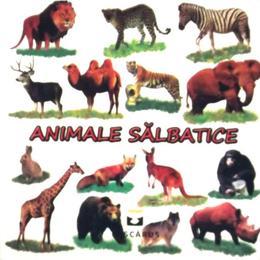 Animale salbatice - Pliant, editura Petrescu And Cioponea