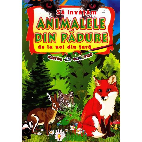 Sa invatam animalele din padure de la noi din tara - Carte de colorat, editura Elis