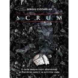 Scrum - Sergiu Ciocarlan, editura Egumenita