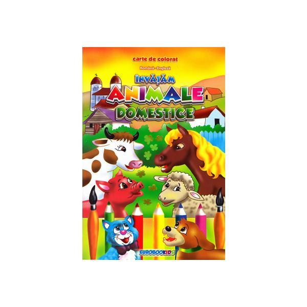 Invatam animale domestice romana-engleza B5 - Carte de colorat, editura Eurobookids