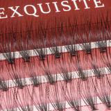 gene-false-smocuri-exquisite-intense-20d-silk-lashes-60-buc-marimea-l-2.jpg