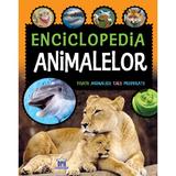 Enciclopedia animalelor, autor Laura Aceti, Chiara Brizzolara
