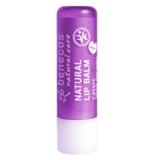 Balsam de Buze cu Unt de Shea si Coacaze Benecos, 4,8 g