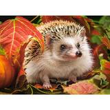 puzzle-180-hedgehog-in-autumn-leaves-2.jpg