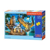 Puzzle 180. Owl Family