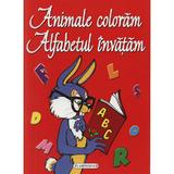 Animale coloram alfabetul invatam, editura Flamingo