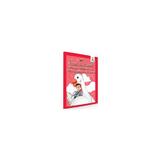 Invat sa citesc! Minunata calatorie a lui Nils Holgersson prin Suedia. Adaptare dupa Selma Lagerlof - Nivelul 3, editura Gama