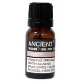 Ulei Esential de Isop (Hyssopus Officinalis) Ancient Wisdom, 10ml