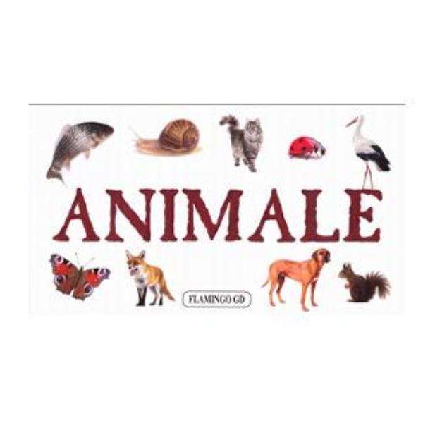 Animale, editura flamingo