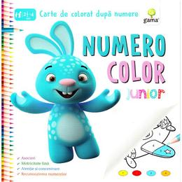 Numero color junior - carte de colorat dupa numere, editura gama
