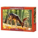 Puzzle 500 Castorland - King of the forest