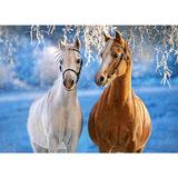 puzzle-260-castorland-the-winter-horses-2.jpg