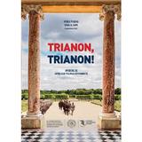 Trianon, trianon! - Vasile Puscas, Ionel N. Sava, editura Scoala Ardeleana