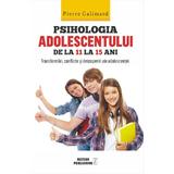 Psihologia adolescentului de la 11 la 15 ani - Pierre Galimard, editura Meteor Press