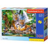 Puzzle 300. Tiger Falls