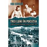 Trei luni in Pocutia - Ion Giurca, editura Militara
