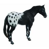Armasar Black Appaloosa XL - Animal figurina