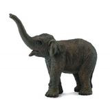 Pui de Elefant asiatic S - Animal figurina