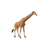Girafa XL - Animal figurina