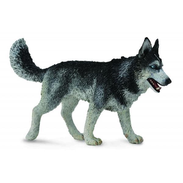 Caine husky siberian l - animal figurina